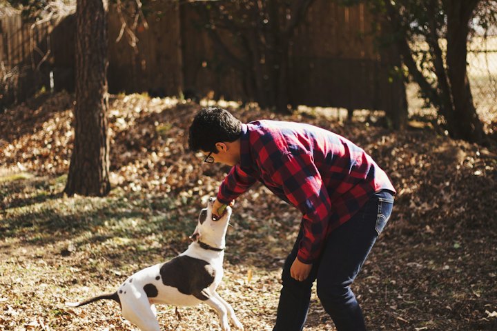 Man playing happily with his dog outdoors